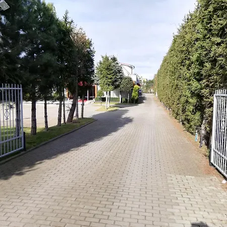 Pokój Vivat